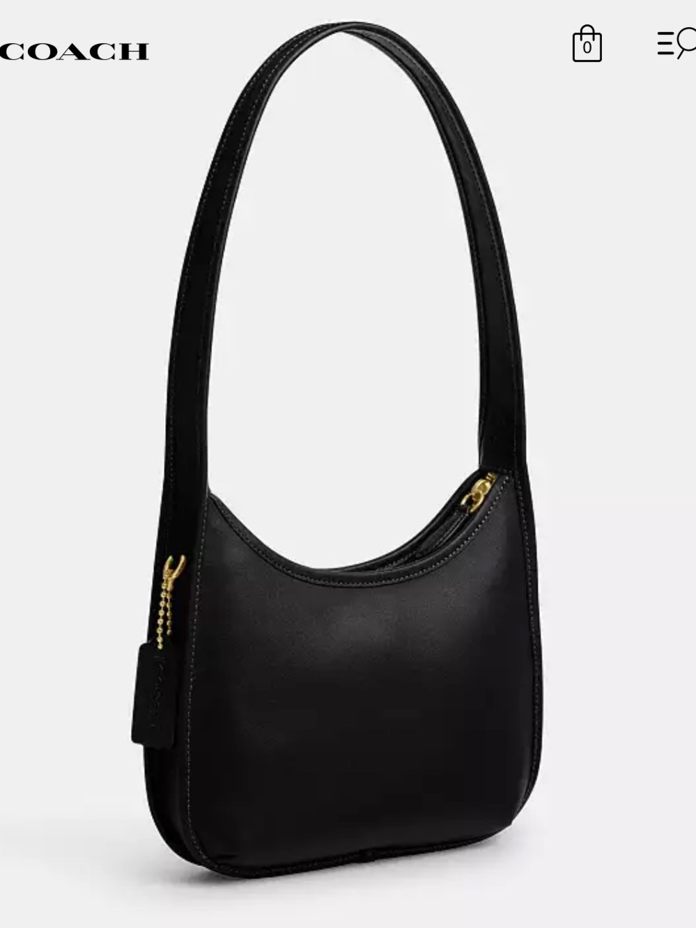 Coach Curve Zip Bag NWT ⭐️⭐️⭐️